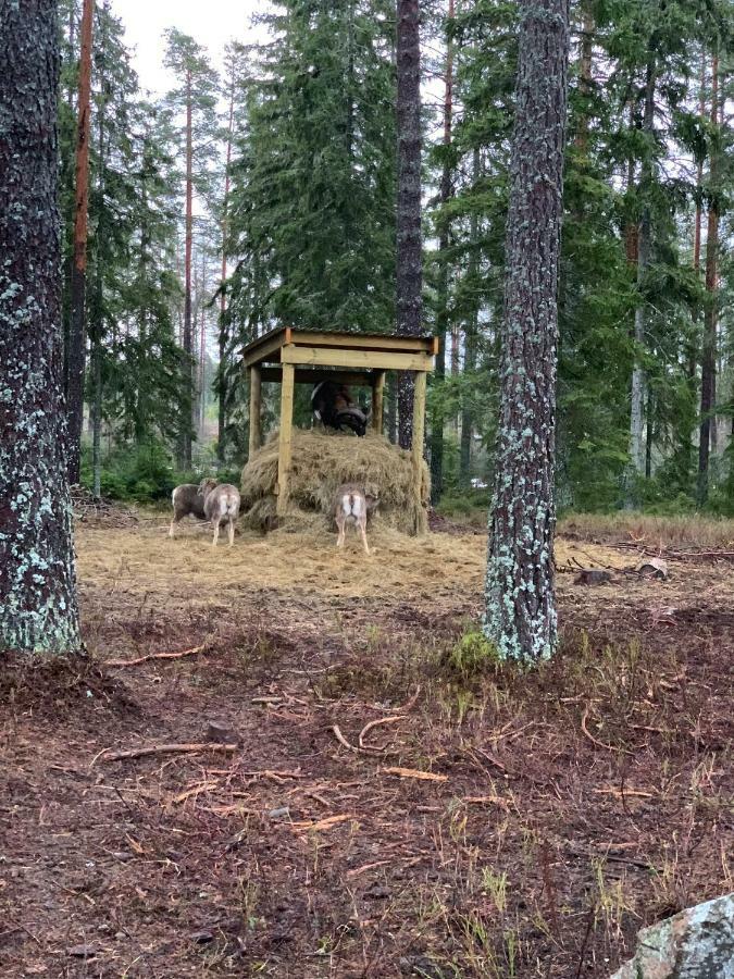 Cozy House In Kosta Center Surrounding With Swedish Nature Extérieur photo